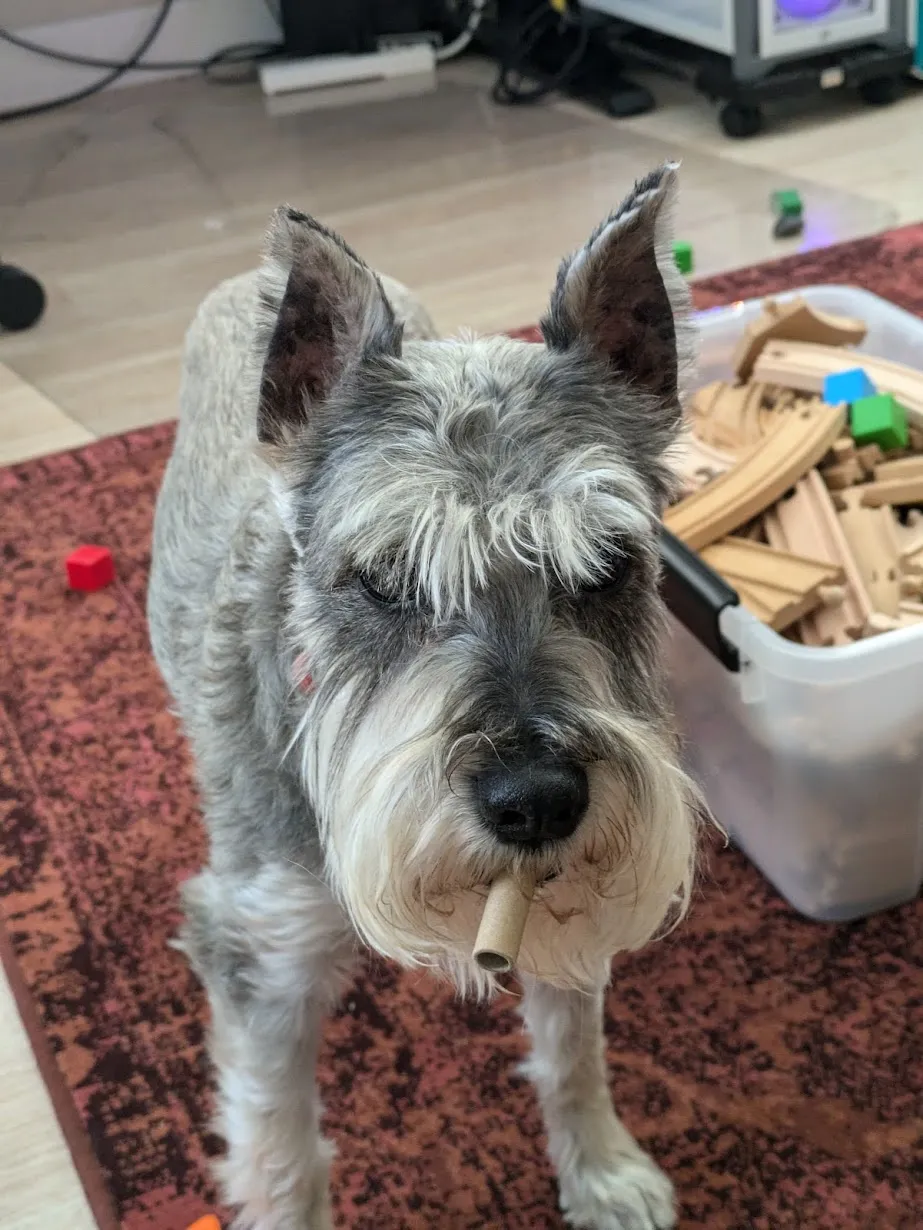 Sophie