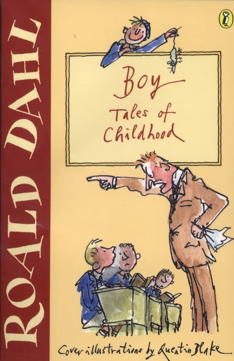 Cover of Boy: Tales of Childhood
