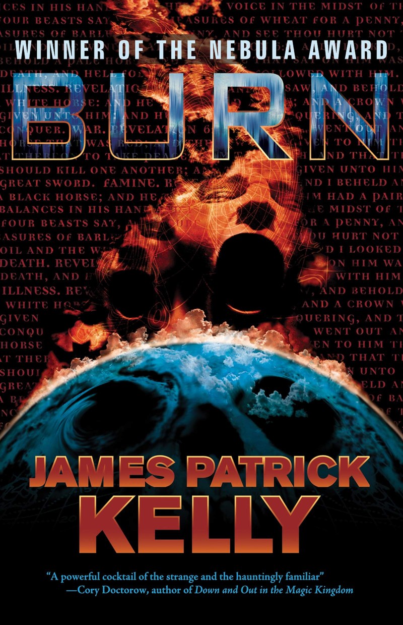 Cover of Burn