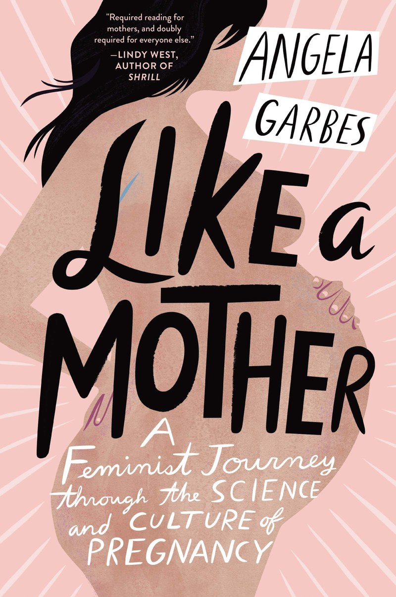 Cover of Like a Mother: A Feminist Journey Through the Science and Culture of Pregnancy