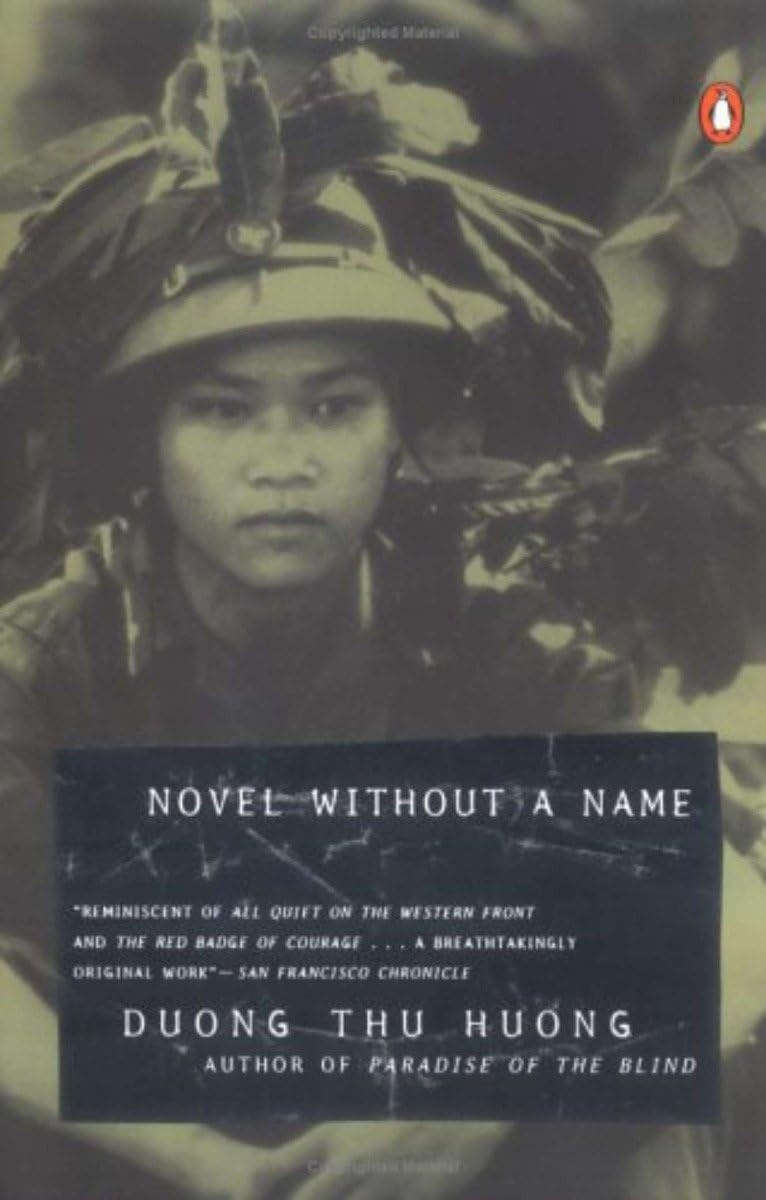 Cover of Novel Without a Name