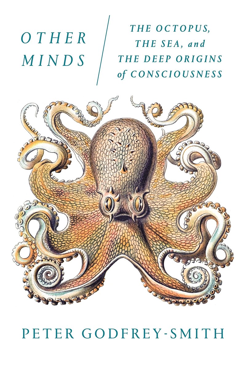 Cover of Other Minds
