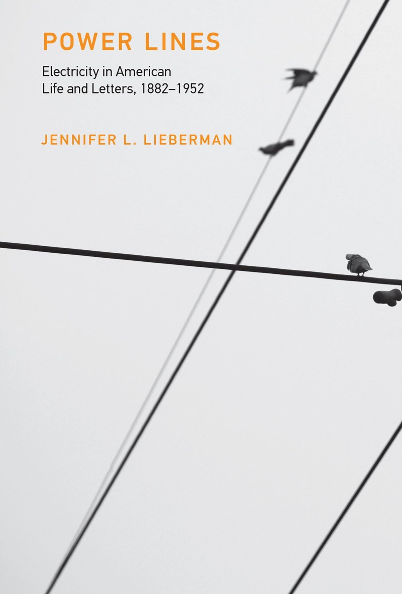 Cover of Power Lines: Electricity in American Life and Letters, 1882–1952