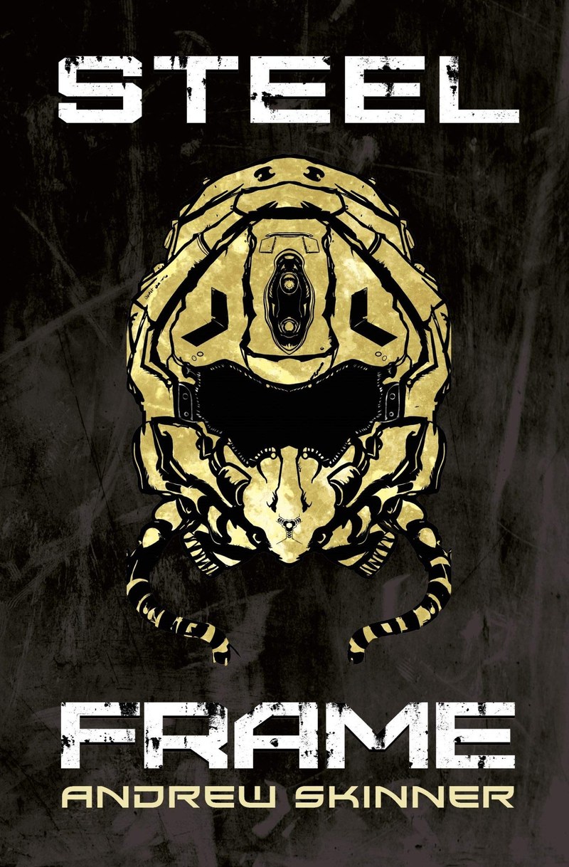 Cover of Steel Frame