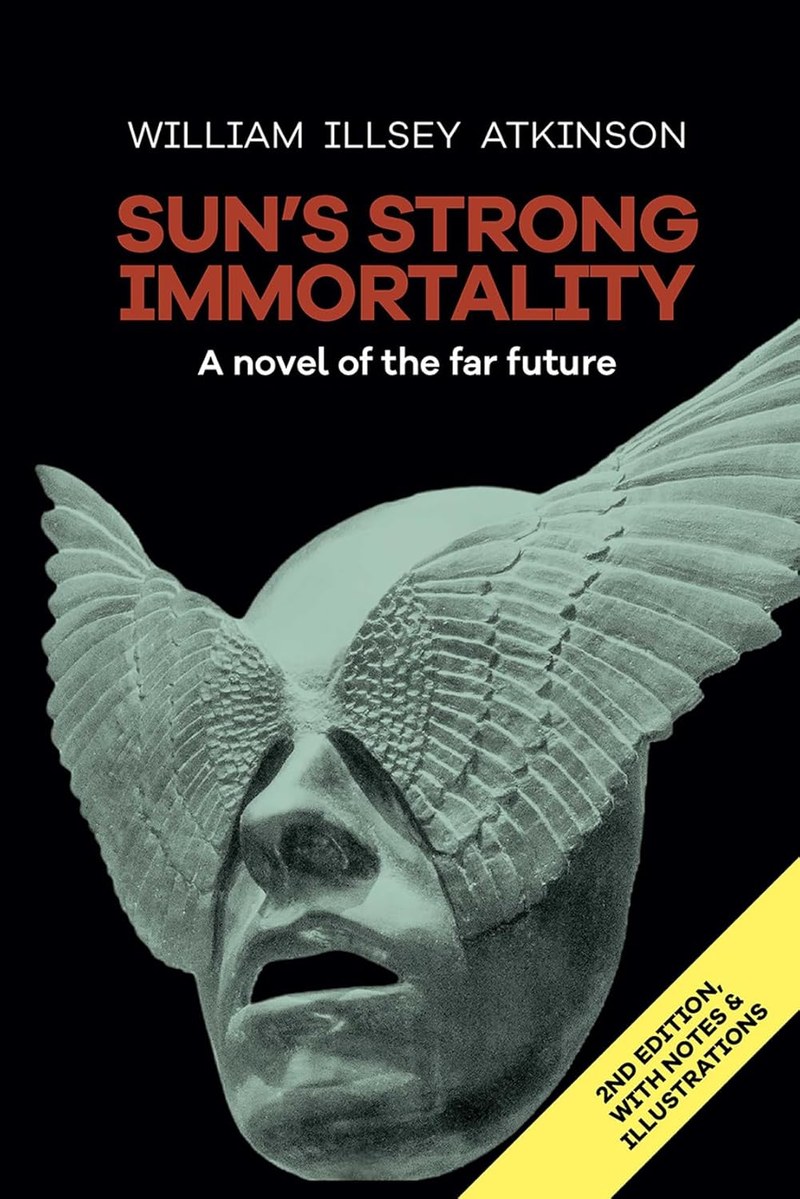 Cover of Sun's Strong Immortality: Book One of The Elven Lands