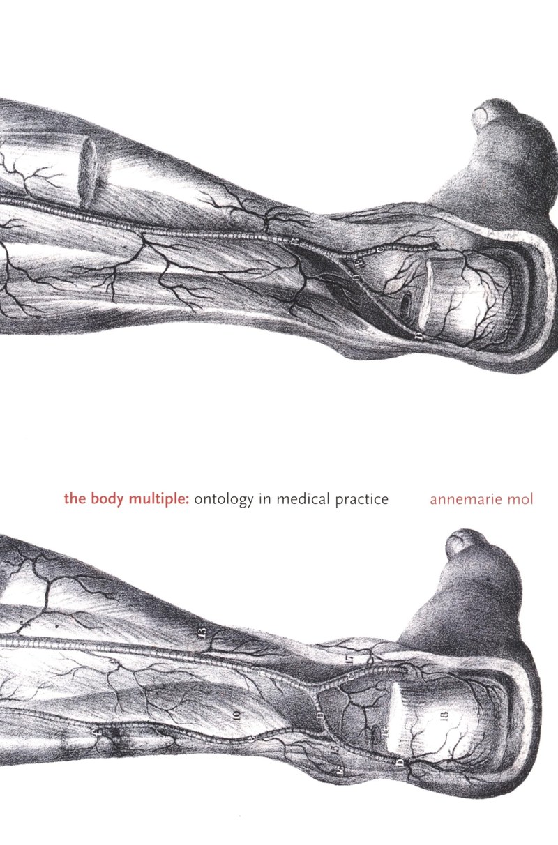 Cover of The Body Multiple: Ontology in Medical Practice (Science and Cultural Theory)