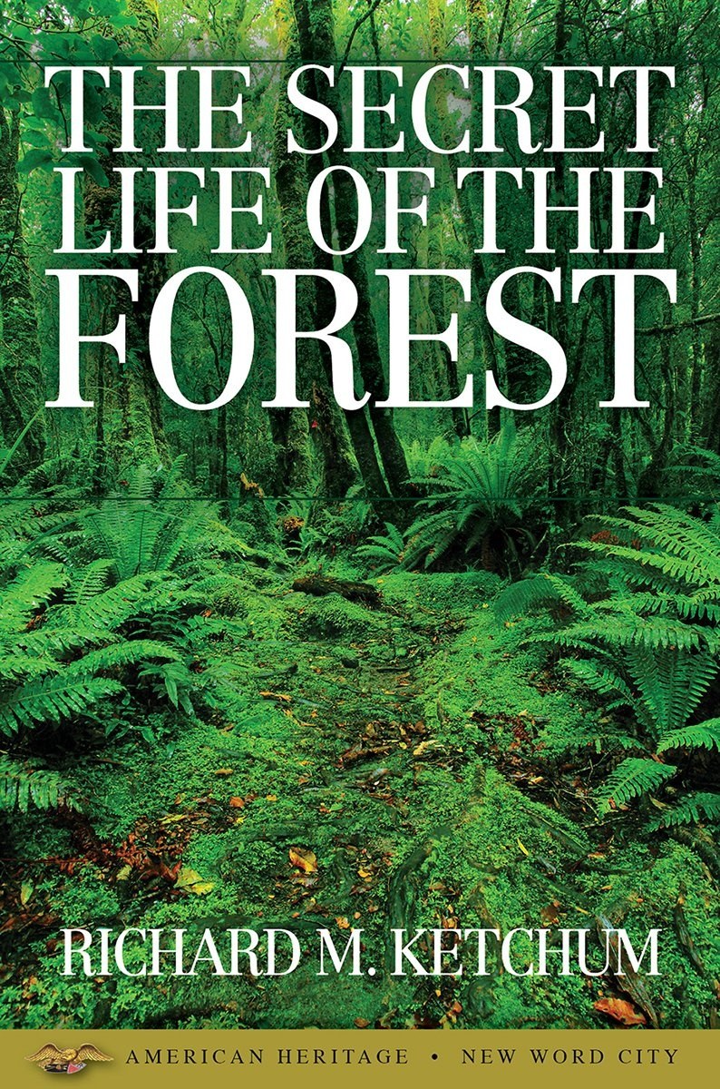 Cover of The Secret Life of the Forest
